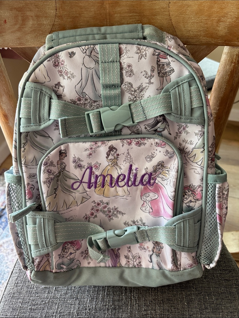 Pottery Barn Disney Princess Backpack with embroidery